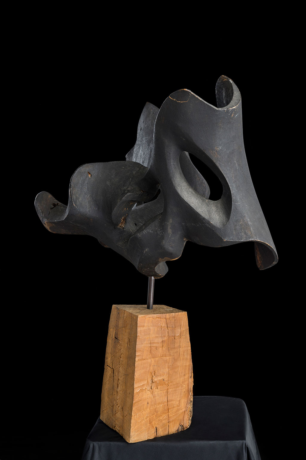 Светомир Арсић Басара | Скулптор | Приповедач | Уметник | Члан САНУ | Мале форме