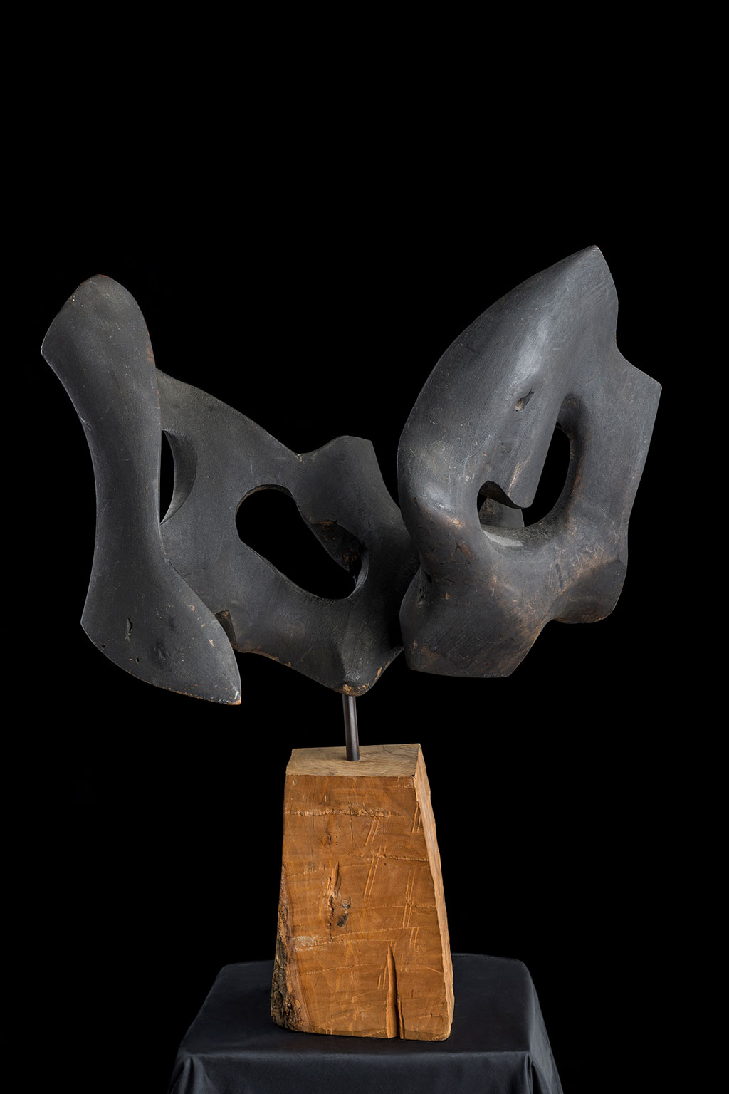 Светомир Арсић Басара | Скулптор | Приповедач | Уметник | Члан САНУ | Мале форме