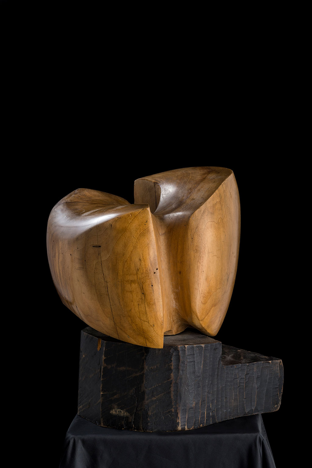 Светомир Арсић Басара | Скулптор | Приповедач | Уметник | Члан САНУ | Мале форме