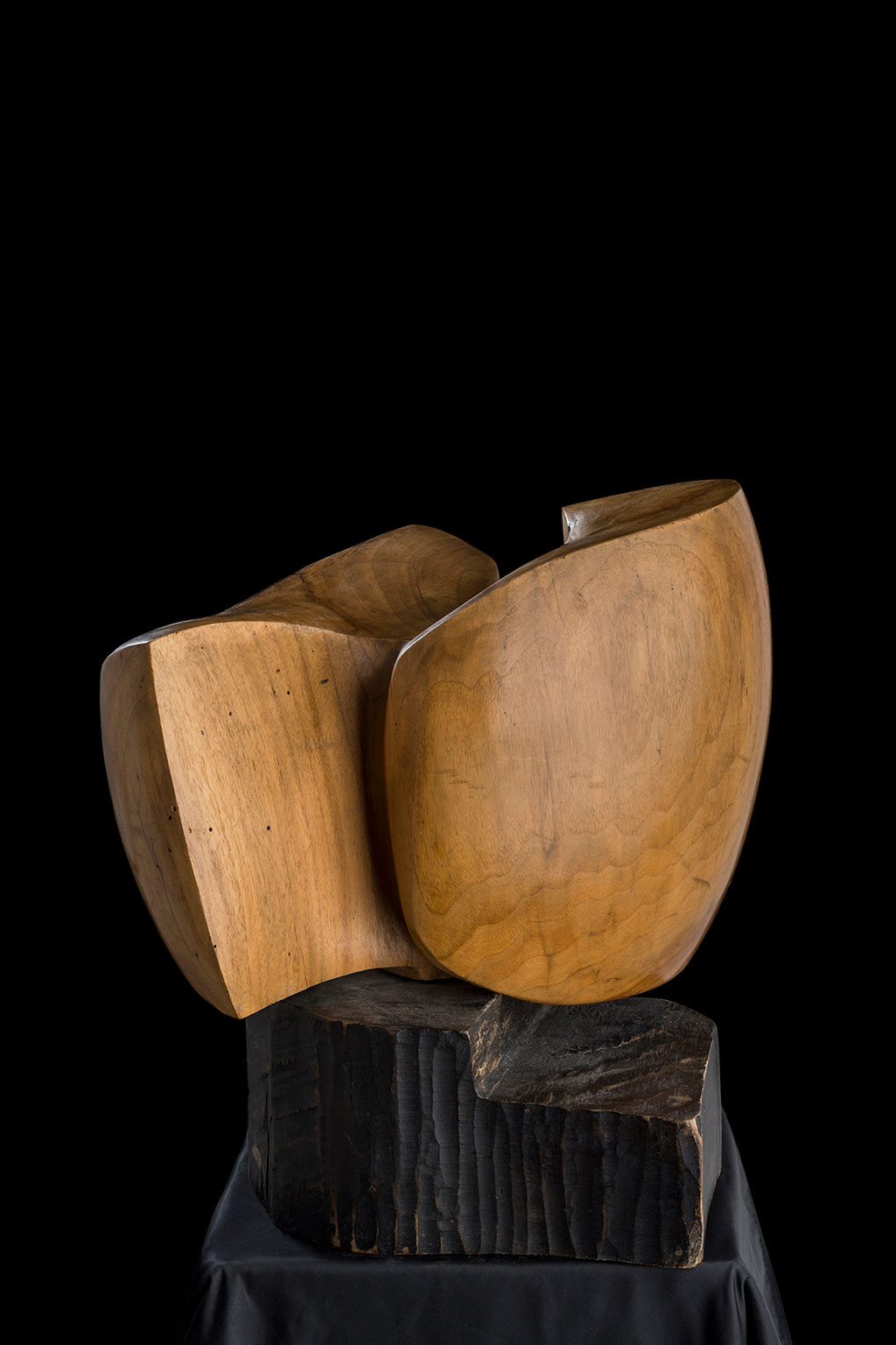 Светомир Арсић Басара | Скулптор | Приповедач | Уметник | Члан САНУ | Мале форме