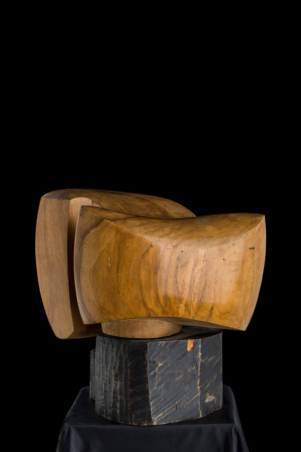 Светомир Арсић Басара | Скулптор | Приповедач | Уметник | Члан САНУ | Мале форме