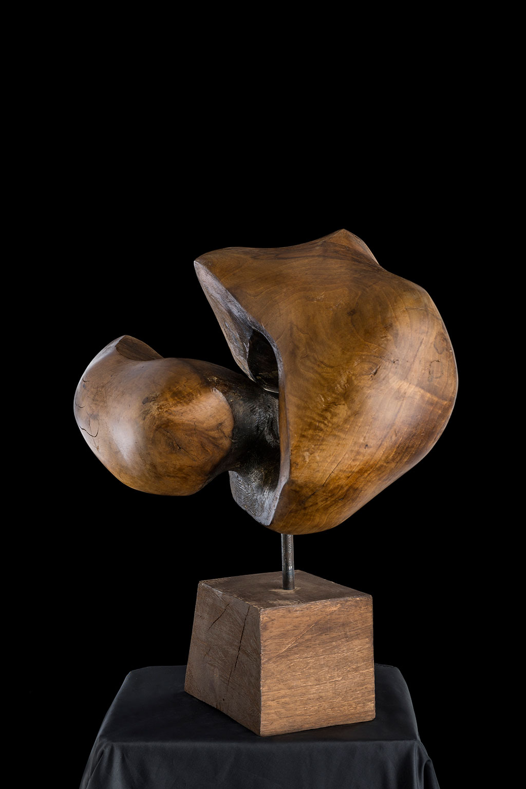 Светомир Арсић Басара | Скулптор | Приповедач | Уметник | Члан САНУ | Мале форме