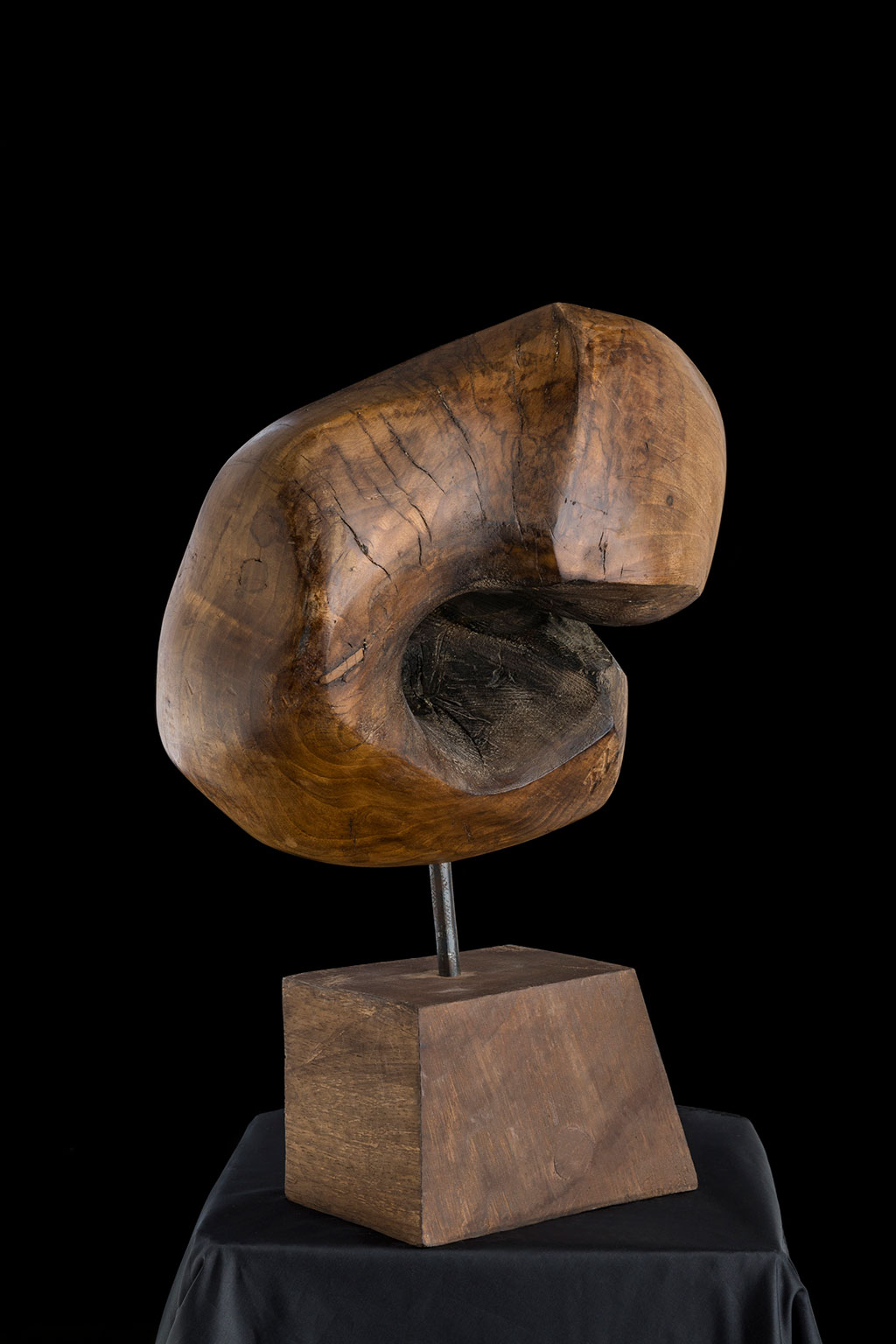 Светомир Арсић Басара | Скулптор | Приповедач | Уметник | Члан САНУ | Мале форме