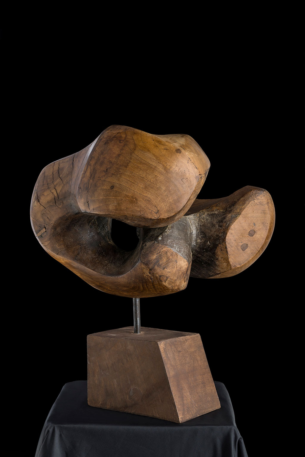 Светомир Арсић Басара | Скулптор | Приповедач | Уметник | Члан САНУ | Мале форме