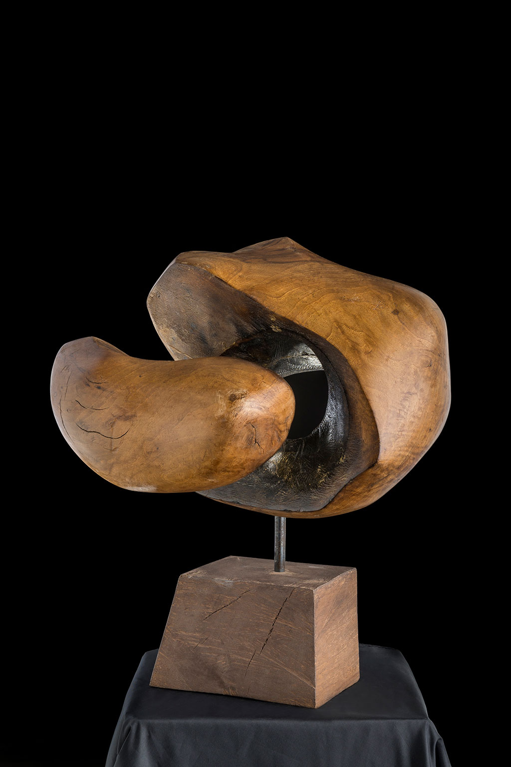 Светомир Арсић Басара | Скулптор | Приповедач | Уметник | Члан САНУ | Мале форме