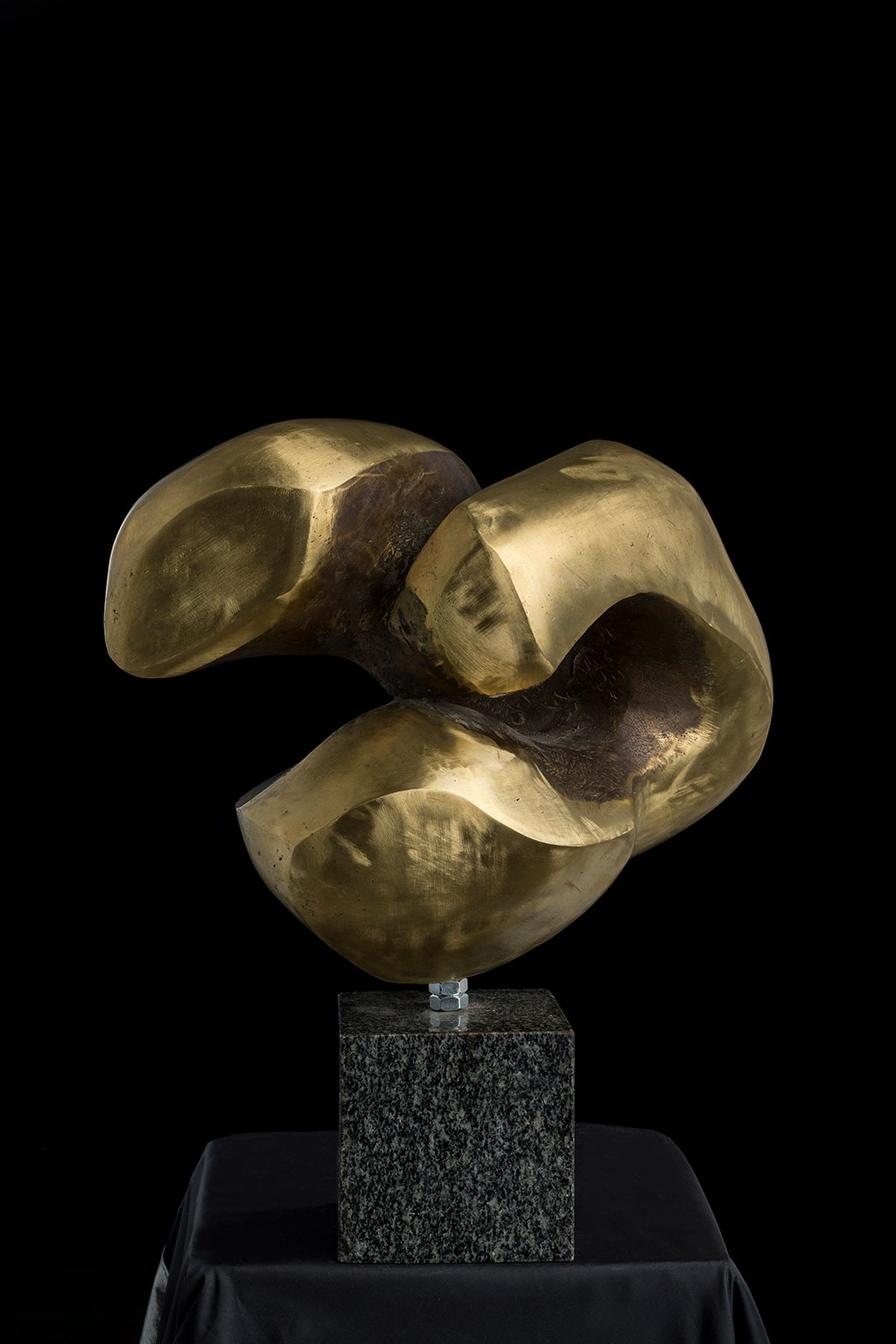 Светомир Арсић Басара | Скулптор | Приповедач | Уметник | Члан САНУ | Мале форме