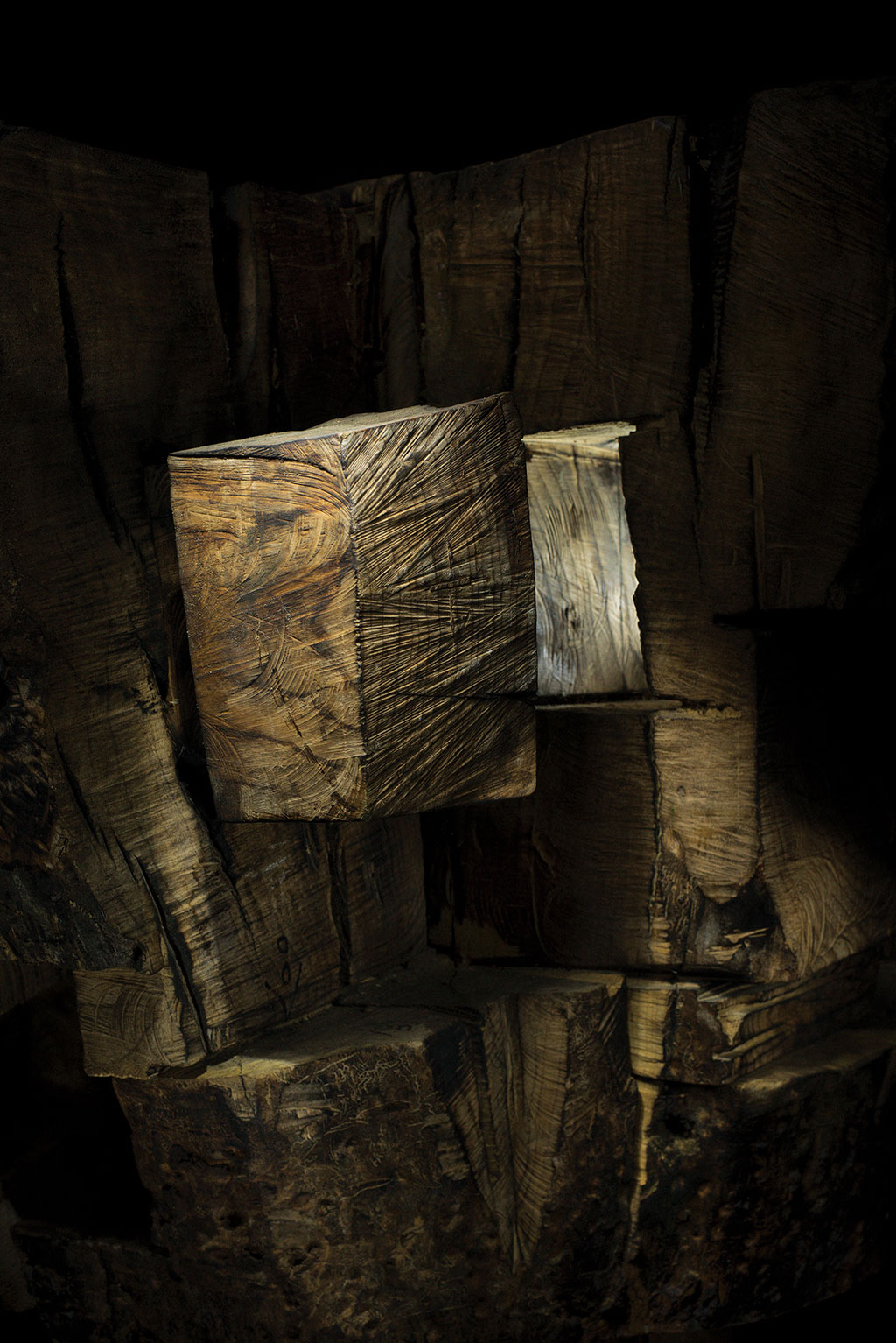 Светомир Арсић Басара | Скулптор | Приповедач | Уметник | Члан САНУ | Апокалипса