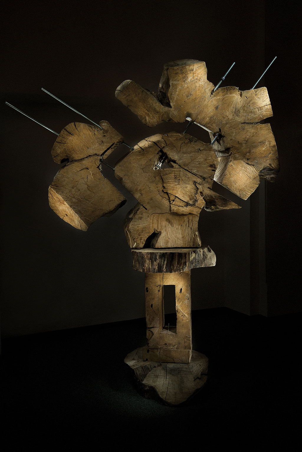 Светомир Арсић Басара | Скулптор | Приповедач | Уметник | Члан САНУ | Апокалипса