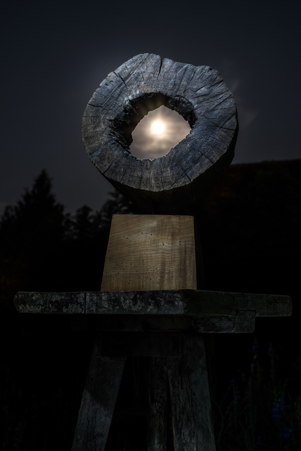 Светомир Арсић Басара | Скулптор | Приповедач | Уметник | Члан САНУ | Мале форме