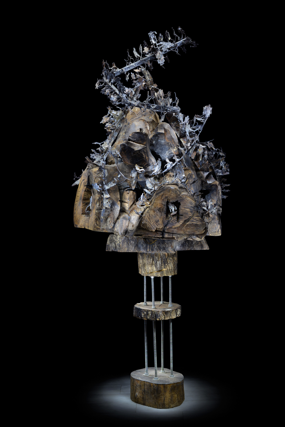 Светомир Арсић Басара | Скулптор | Приповедач | Уметник | Члан САНУ | Апокалипса