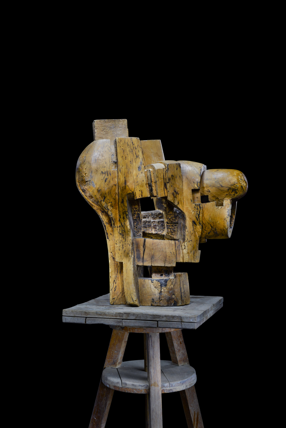 Светомир Арсић Басара | Скулптор | Приповедач | Уметник | Члан САНУ | Мале форме