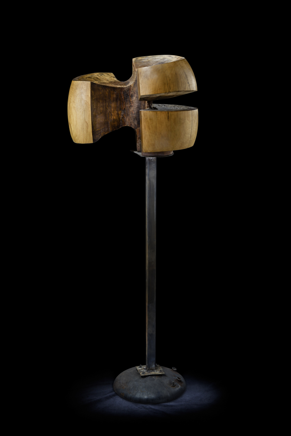 Светомир Арсић Басара | Скулптор | Приповедач | Уметник | Члан САНУ | Мале форме