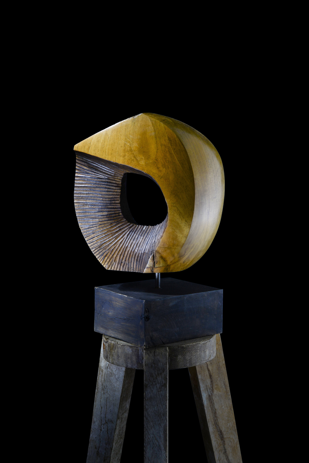 Светомир Арсић Басара | Скулптор | Приповедач | Уметник | Члан САНУ | Мале форме