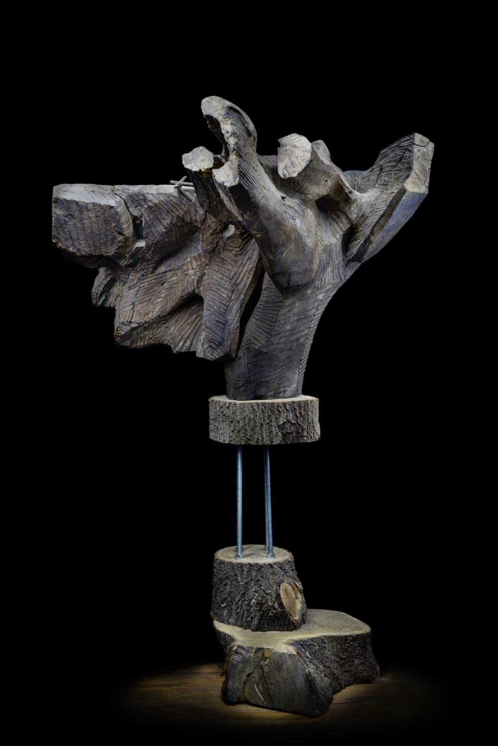 Светомир Арсић Басара | Скулптор | Приповедач | Уметник | Члан САНУ | Апокалипса