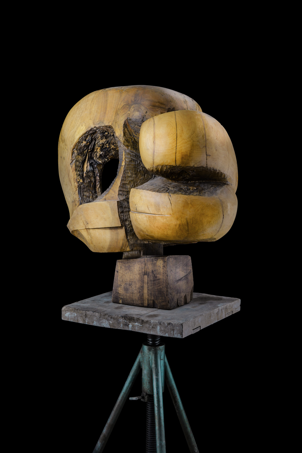 Светомир Арсић Басара | Скулптор | Приповедач | Уметник | Члан САНУ | Мале форме