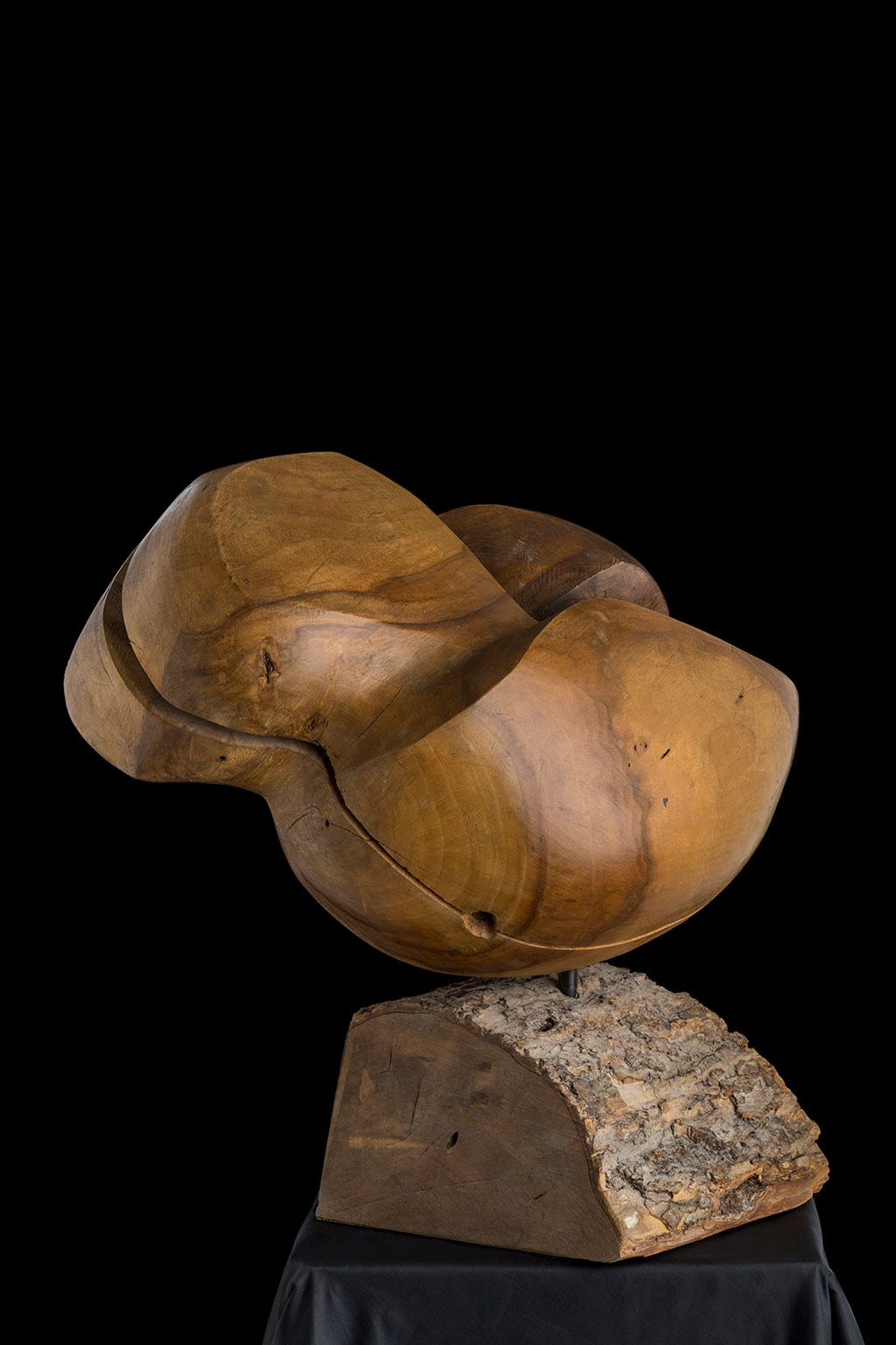 Светомир Арсић Басара | Скулптор | Приповедач | Уметник | Члан САНУ | Мале форме