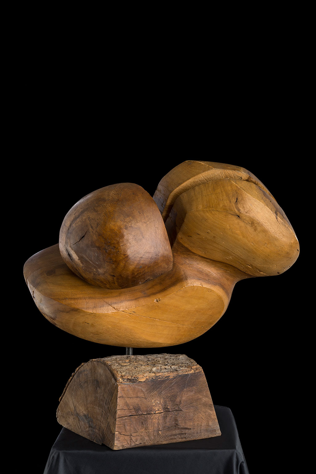 Светомир Арсић Басара | Скулптор | Приповедач | Уметник | Члан САНУ | Мале форме