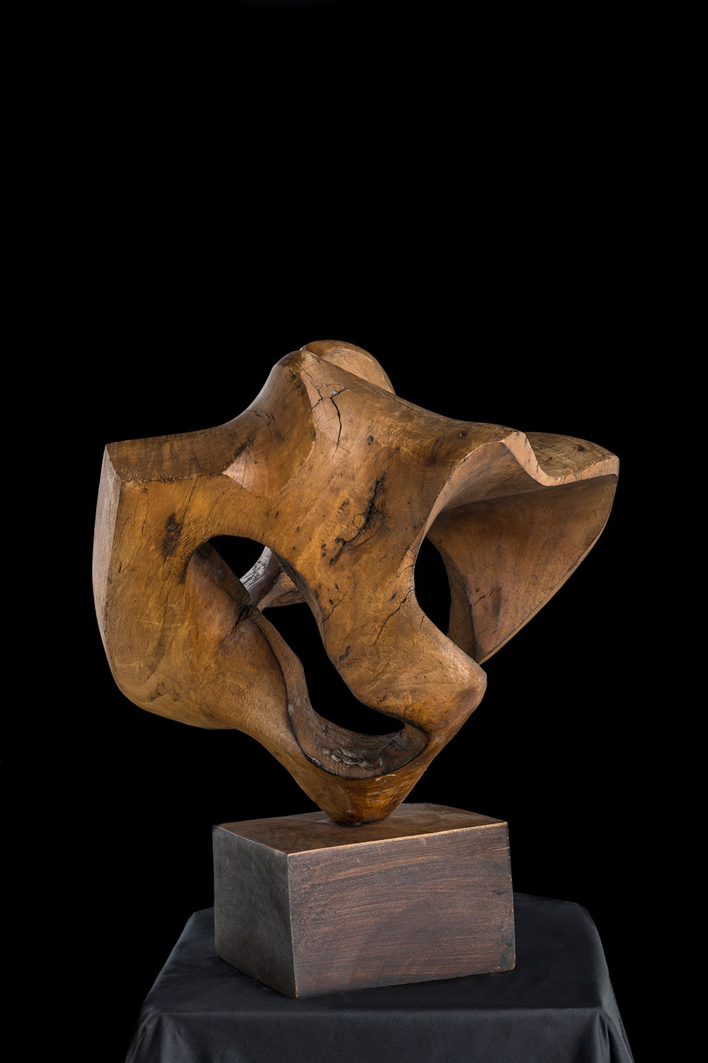 Светомир Арсић Басара | Скулптор | Приповедач | Уметник | Члан САНУ | Мале форме