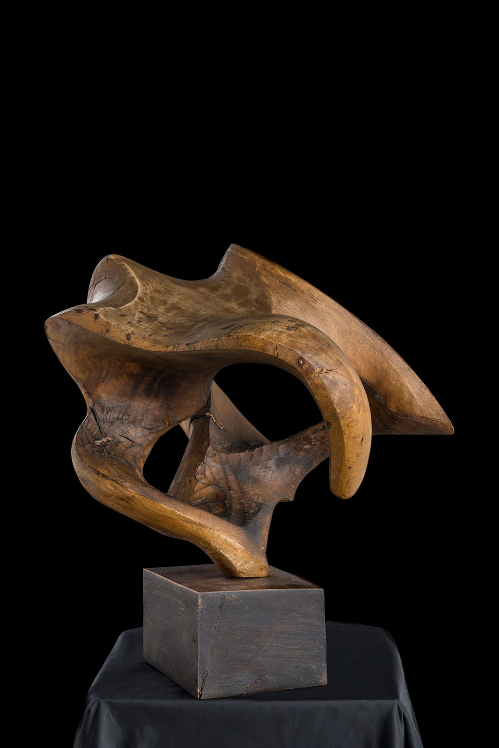 Светомир Арсић Басара | Скулптор | Приповедач | Уметник | Члан САНУ | Мале форме