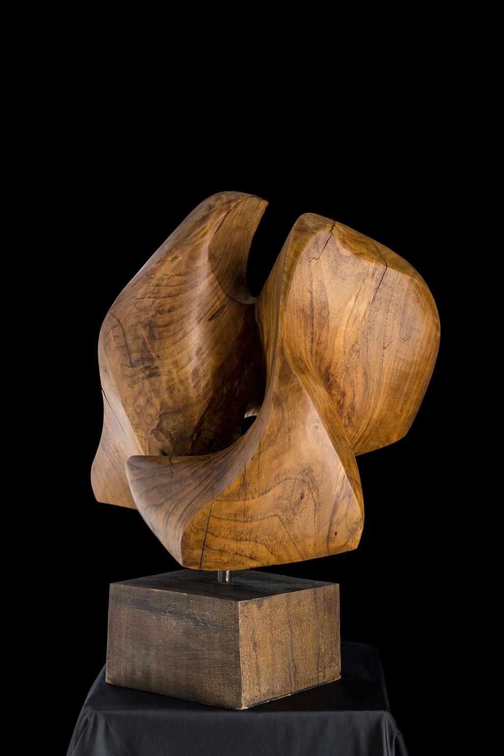 Светомир Арсић Басара | Скулптор | Приповедач | Уметник | Члан САНУ | Мале форме