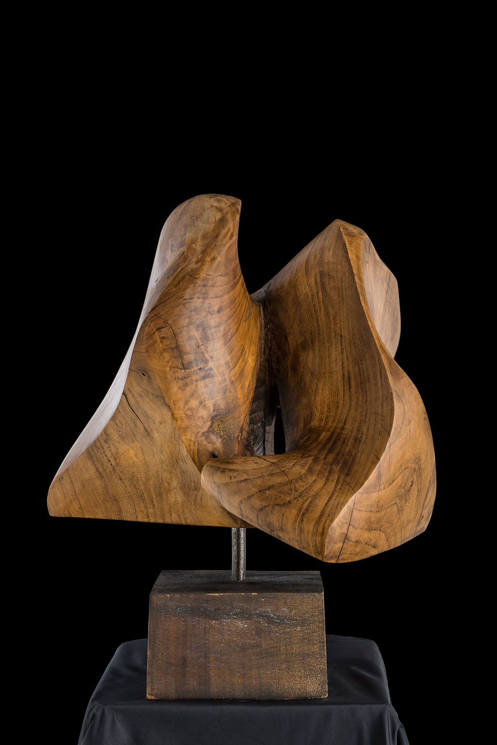 Светомир Арсић Басара | Скулптор | Приповедач | Уметник | Члан САНУ | Мале форме