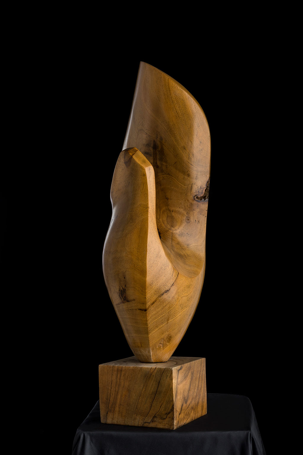 Светомир Арсић Басара | Скулптор | Приповедач | Уметник | Члан САНУ | Мале форме