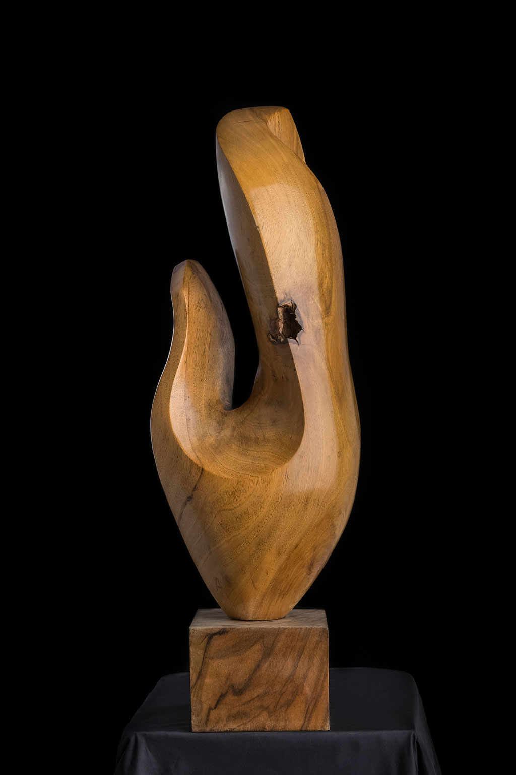 Светомир Арсић Басара | Скулптор | Приповедач | Уметник | Члан САНУ | Мале форме