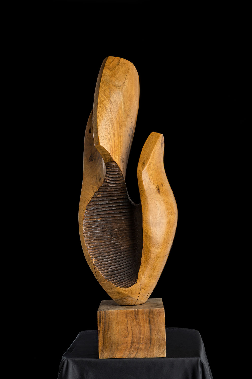 Светомир Арсић Басара | Скулптор | Приповедач | Уметник | Члан САНУ | Мале форме