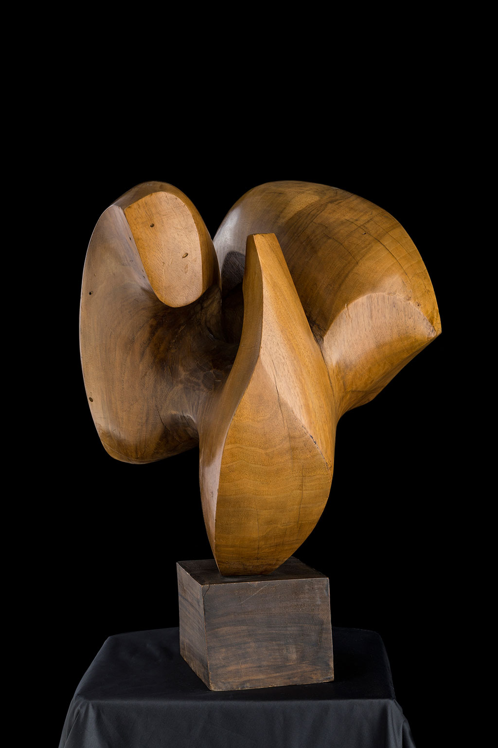 Светомир Арсић Басара | Скулптор | Приповедач | Уметник | Члан САНУ | Мале форме