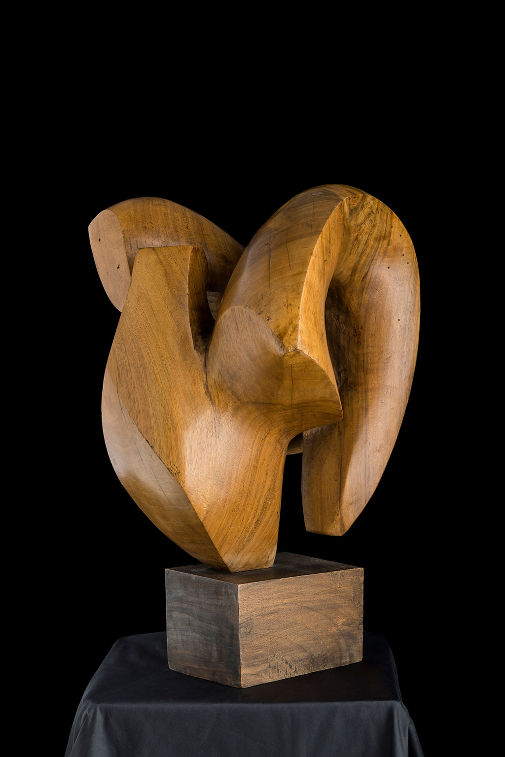 Светомир Арсић Басара | Скулптор | Приповедач | Уметник | Члан САНУ | Мале форме