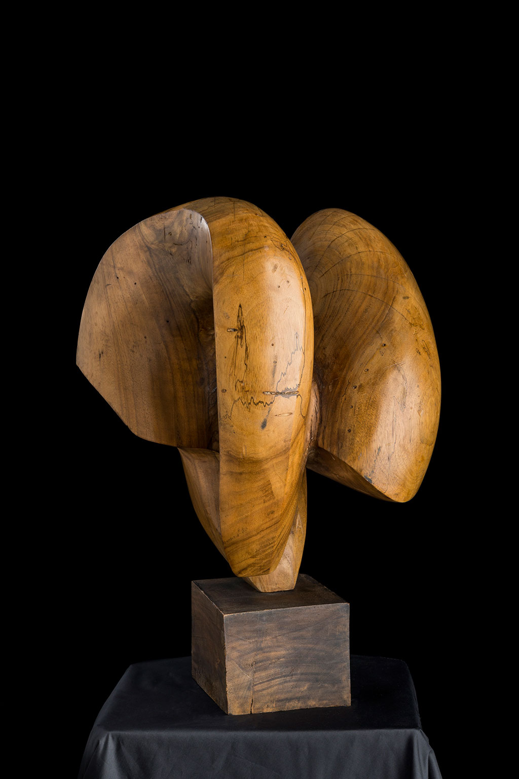 Светомир Арсић Басара | Скулптор | Приповедач | Уметник | Члан САНУ | Мале форме