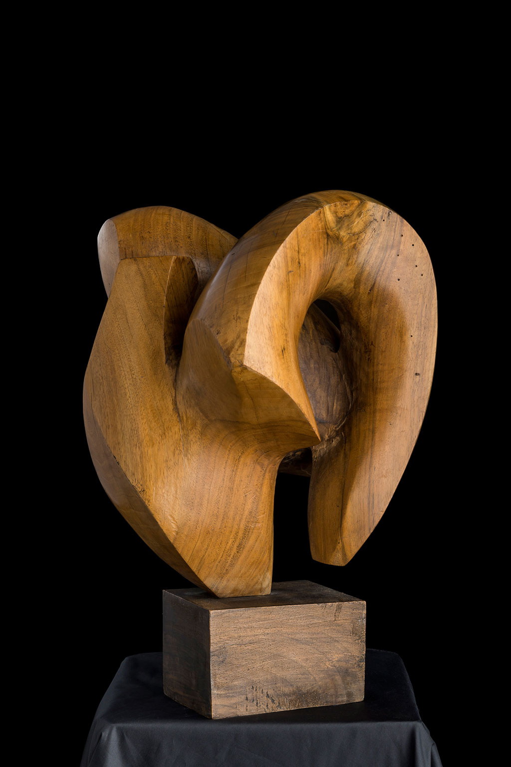 Светомир Арсић Басара | Скулптор | Приповедач | Уметник | Члан САНУ | Мале форме