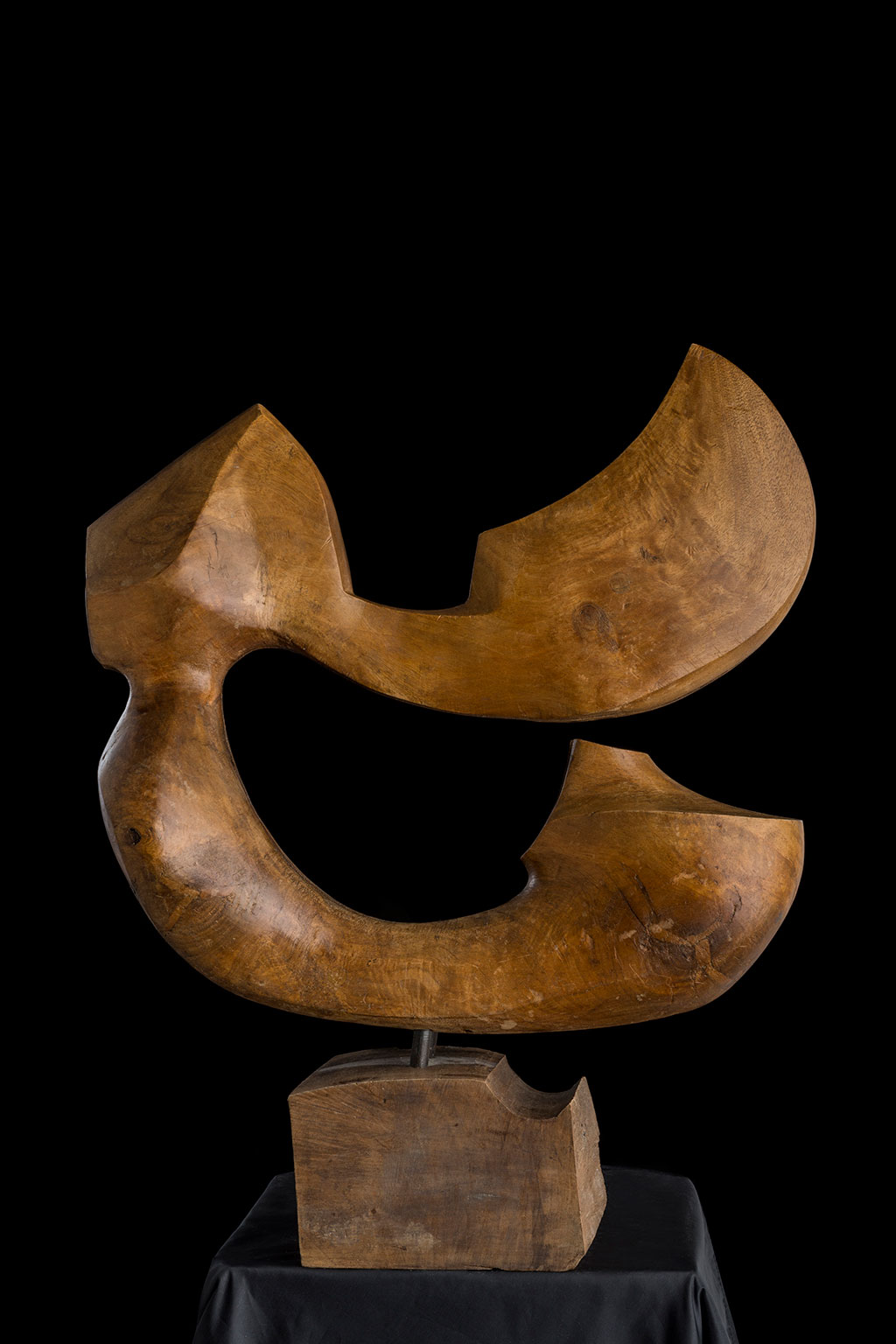 Светомир Арсић Басара | Скулптор | Приповедач | Уметник | Члан САНУ | Мале форме