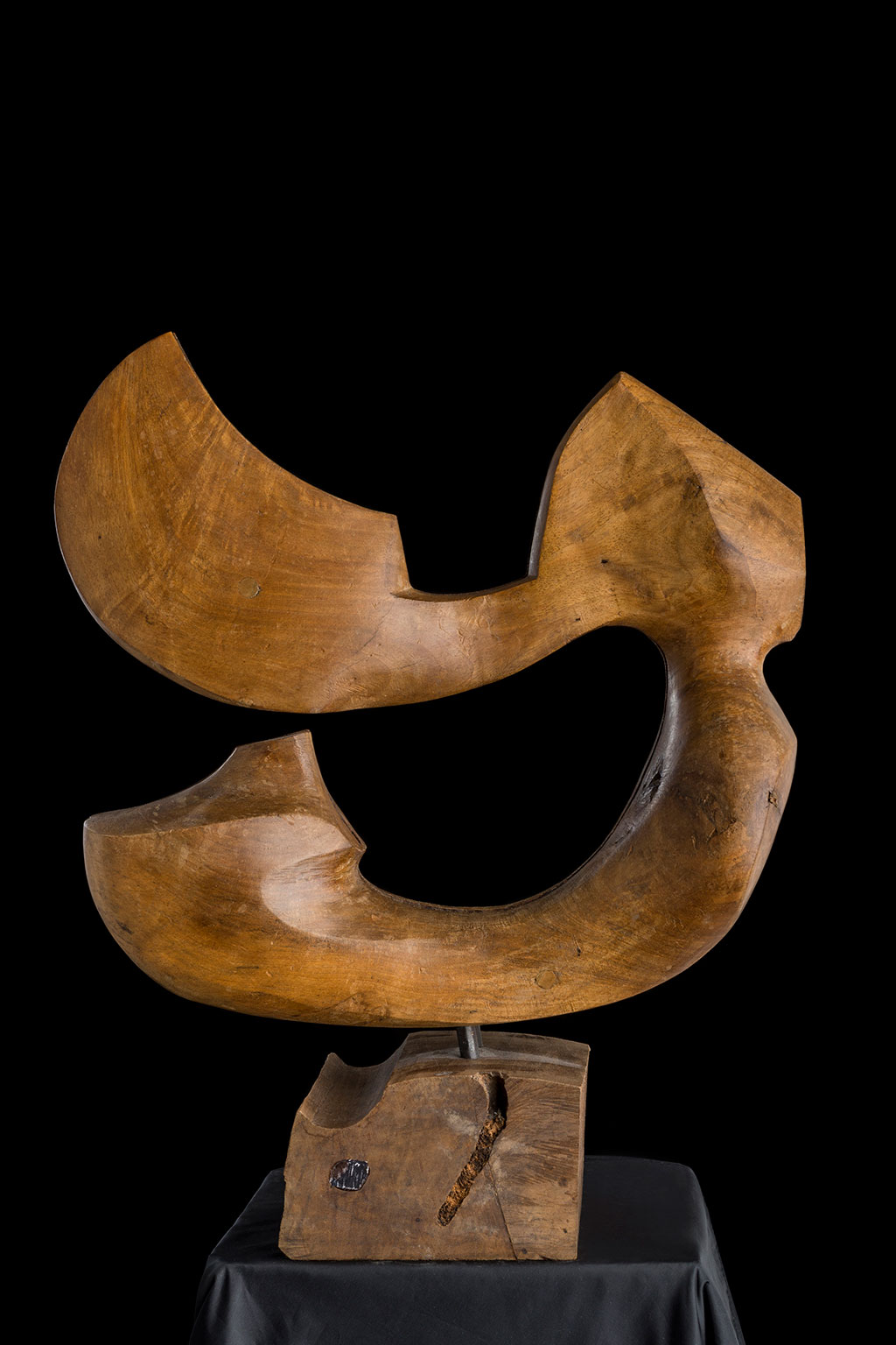 Светомир Арсић Басара | Скулптор | Приповедач | Уметник | Члан САНУ | Мале форме