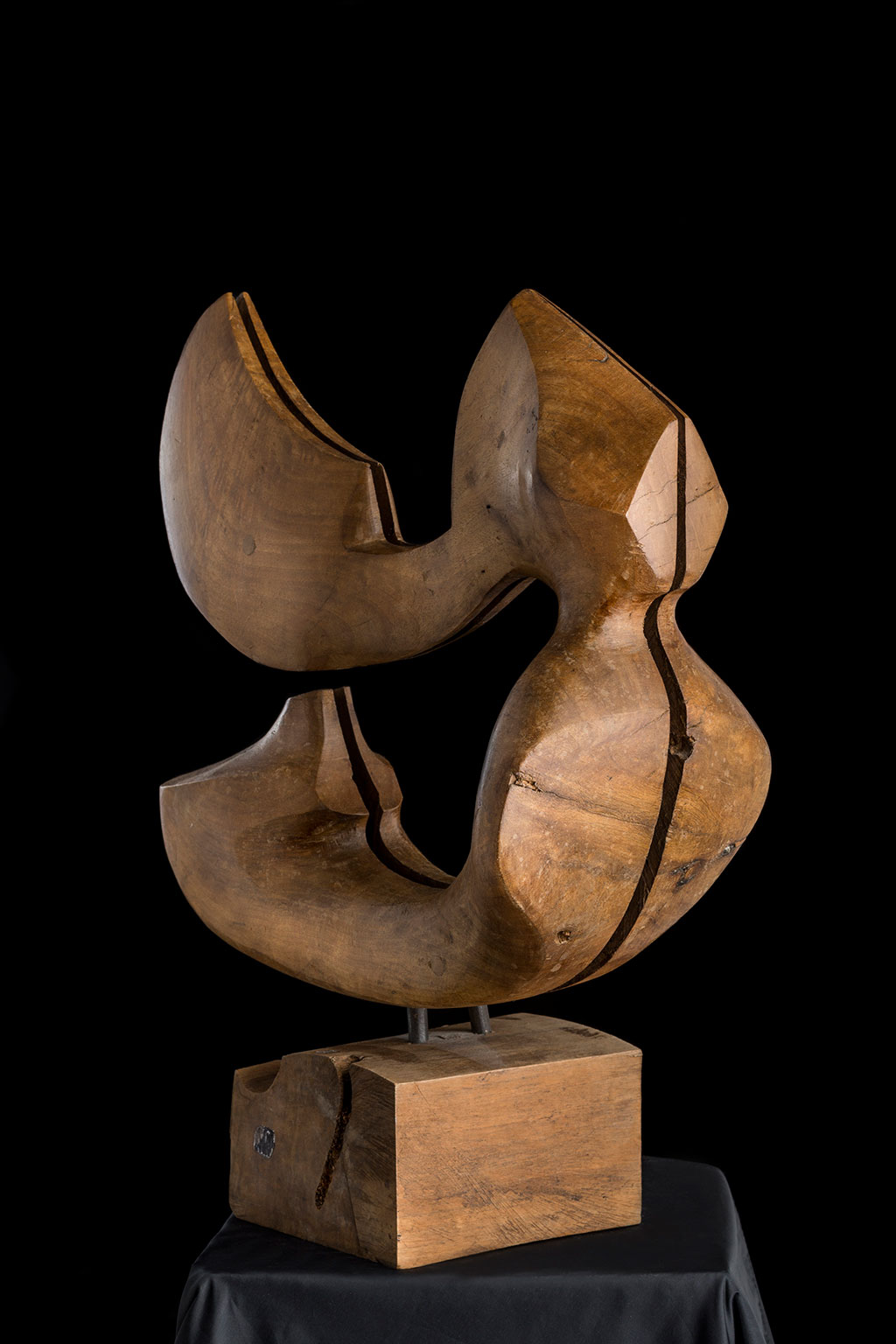 Светомир Арсић Басара | Скулптор | Приповедач | Уметник | Члан САНУ | Мале форме